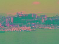 IMGP2607 edited (Medium)